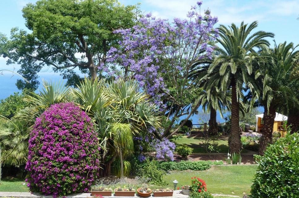 Отель Finca Casa Vieja Санта-Урсула Экстерьер фото